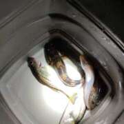 ヒメ日記 2025/08/25 07:20 投稿 姫川 唯 こあくまな熟女たち三河店（KOAKUMAグループ）