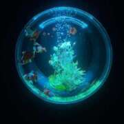 ヒメ日記 2025/07/07 09:08 投稿 なづな パイレーツ