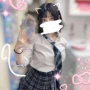 ヒメ日記 2025/07/07 17:48 投稿 なづな パイレーツ