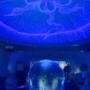 ヒメ日記 2025/09/20 15:18 投稿 なづな パイレーツ