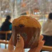 ヒメ日記 2025/10/09 11:08 投稿 なづな パイレーツ