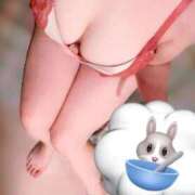 ヒメ日記 2025/11/15 15:28 投稿 なづな パイレーツ