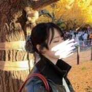 ヒメ日記 2026/03/24 10:58 投稿 なづな パイレーツ