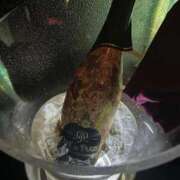 ヒメ日記 2026/03/30 22:18 投稿 なづな パイレーツ