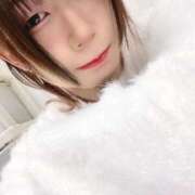 ヒメ日記 2024/12/22 12:15 投稿 霧島ゆい ニューハーフヘルスLIBE 日本橋