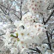 ヒメ日記 2026/03/11 21:20 投稿 まい 奥鉄オクテツ兵庫