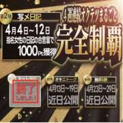 ヒメ日記 2026/04/10 16:00 投稿 まい 奥鉄オクテツ兵庫