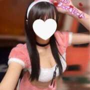 ヒメ日記 2025/04/06 16:52 投稿 みゅう ハイ・チュッ