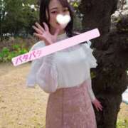 ヒメ日記 2025/04/04 06:28 投稿 たお お姉京都