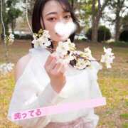 ヒメ日記 2025/04/06 20:42 投稿 たお お姉京都