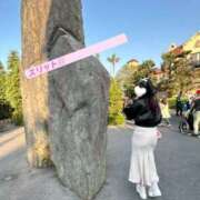 ヒメ日記 2025/05/11 06:24 投稿 たお お姉京都