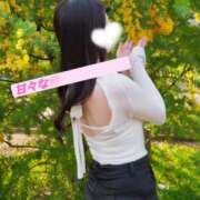 ヒメ日記 2025/05/25 08:42 投稿 たお お姉京都