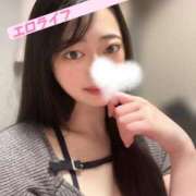 ヒメ日記 2025/09/22 22:32 投稿 たお お姉京都