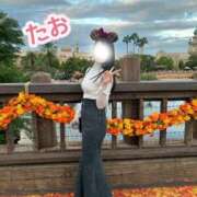 ヒメ日記 2025/10/06 21:02 投稿 たお お姉京都