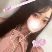 ヒメ日記 2025/10/08 17:22 投稿 たお お姉京都