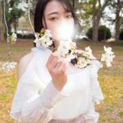 ヒメ日記 2026/04/04 18:32 投稿 たお お姉京都