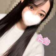 ヒメ日記 2026/04/13 09:32 投稿 たお お姉京都