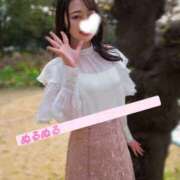 ヒメ日記 2026/04/27 22:32 投稿 たお お姉京都