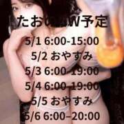 ヒメ日記 2026/04/30 12:52 投稿 たお お姉京都