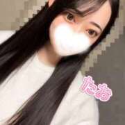 ヒメ日記 2026/05/01 05:58 投稿 たお お姉京都