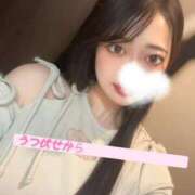 ヒメ日記 2026/05/21 23:32 投稿 たお お姉京都