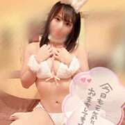 ヒメ日記 2024/12/10 06:02 投稿 いとは お姉京都