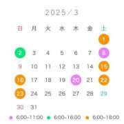 ヒメ日記 2025/02/24 23:42 投稿 いとは お姉京都