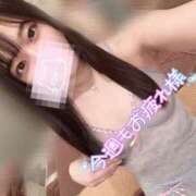 ヒメ日記 2025/04/20 04:32 投稿 いとは お姉京都