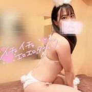 ヒメ日記 2025/05/29 17:42 投稿 いとは お姉京都