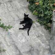 ヒメ日記 2025/10/29 10:27 投稿 せいら しろうとCollection