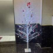 せいら 出勤✨️ しろうとCollection