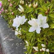 ヒメ日記 2026/10/08 18:47 投稿 せいら しろうとCollection