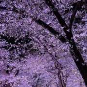 ヒメ日記 2026/04/03 11:49 投稿 ELENA『エレナ』 GG