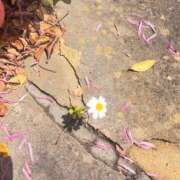 ヒメ日記 2025/04/24 02:48 投稿 つき セクシー(長崎)