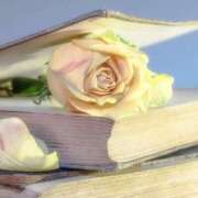 ヒメ日記 2025/06/04 07:15 投稿 尊(みこと) 恍惚大阪店