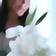 ヒメ日記 2025/02/06 13:41 投稿 宮路 りさ子 横浜貴楼館