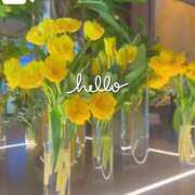 ヒメ日記 2025/03/20 07:11 投稿 宮路 りさ子 横浜貴楼館