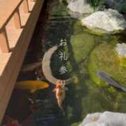 ヒメ日記 2025/07/22 00:41 投稿 宮路 りさ子 横浜貴楼館