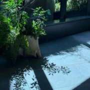 ヒメ日記 2025/09/27 10:21 投稿 宮路 りさ子 横浜貴楼館