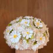 ヒメ日記 2026/03/23 13:51 投稿 宮路 りさ子 横浜貴楼館