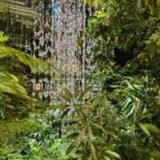 ヒメ日記 2026/03/31 13:21 投稿 宮路 りさ子 横浜貴楼館