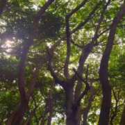 ヒメ日記 2024/12/28 22:24 投稿 宮路 りさ子 東京貴楼館