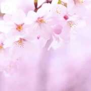 ヒメ日記 2025/03/27 14:21 投稿 宮路 りさ子 東京貴楼館