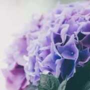 ヒメ日記 2025/06/10 15:03 投稿 宮路 りさ子 東京貴楼館