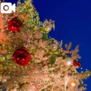 宮路 りさ子 昨晩は･･･ 東京貴楼館