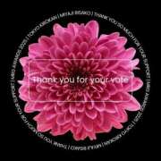 宮路 りさ子 ［ファン投票］会員様からのお便り 東京貴楼館