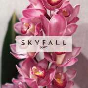 ヒメ日記 2026/01/17 23:29 投稿 宮路 りさ子 東京貴楼館