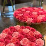 ヒメ日記 2026/03/03 11:49 投稿 宮路 りさ子 東京貴楼館