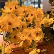 ヒメ日記 2026/04/06 00:36 投稿 宮路 りさ子 東京貴楼館