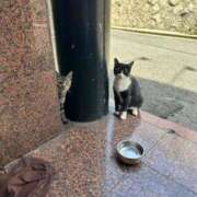 ヒメ日記 2025/08/20 04:49 投稿 モモカ【♥超絶激カワバニー♥】 ドＭなバニーちゃん小倉店